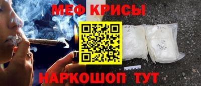 крисы Камышлов