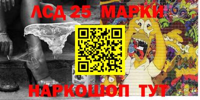 крисы Камышлов