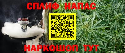 соль ск Кингисепп