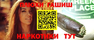 крисы Камышлов