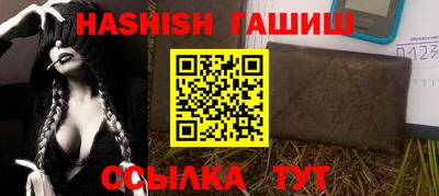 крисы Камышлов